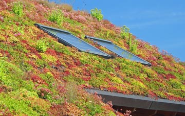 Liston living roof systems