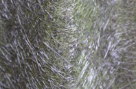 Liston fibreglass roof work